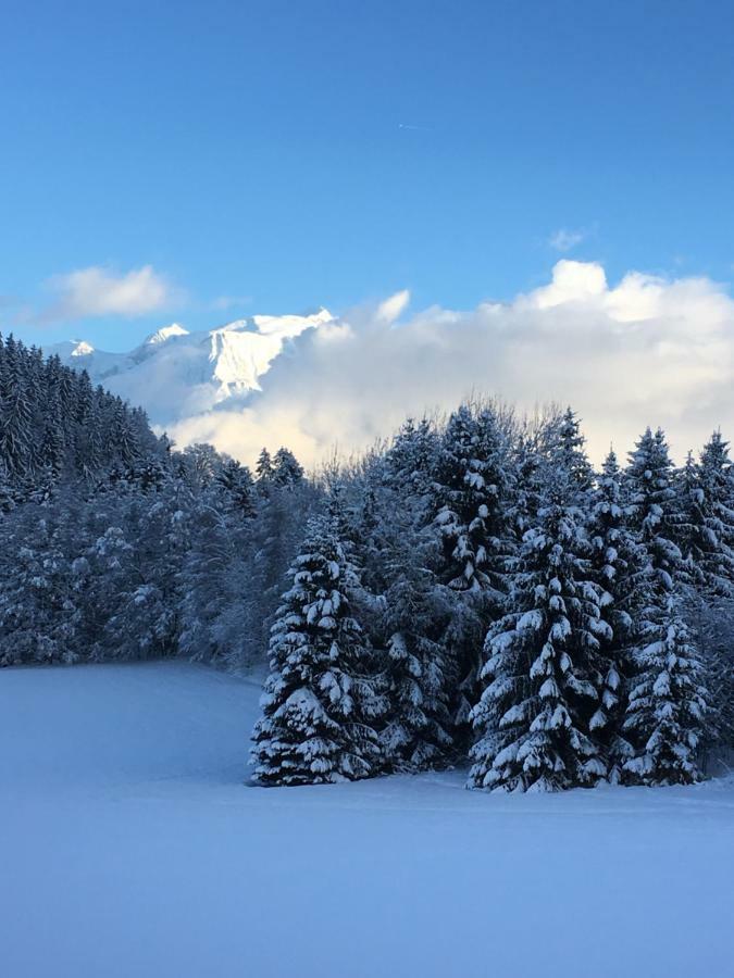 Sallanches 3101 Route De Nant Cruy Immeuble Le Grand R Bagian luar foto